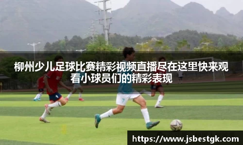 安信3娱乐注册